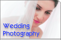Offered services of Wedding Photography, Portraits, Graphic Design and Photographs for Sale